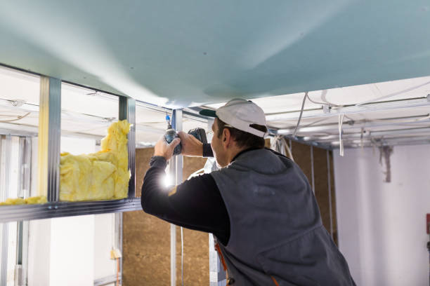 Best Blown-in Insulation in Lavonia, GA