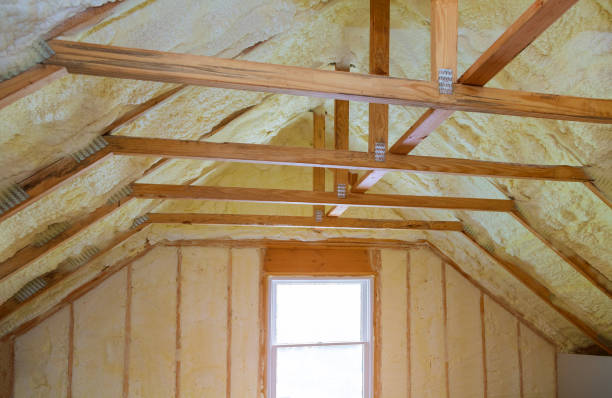 Types of Insulation We Offer in Lavonia, GA