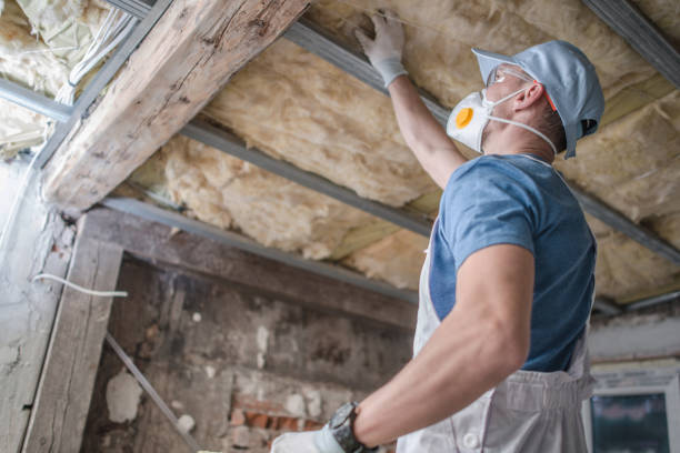 Best Insulation Maintenance and Repair in Lavonia, GA