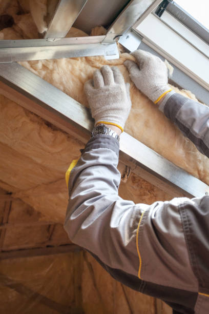 Best Spray Foam Insulation in Lavonia, GA