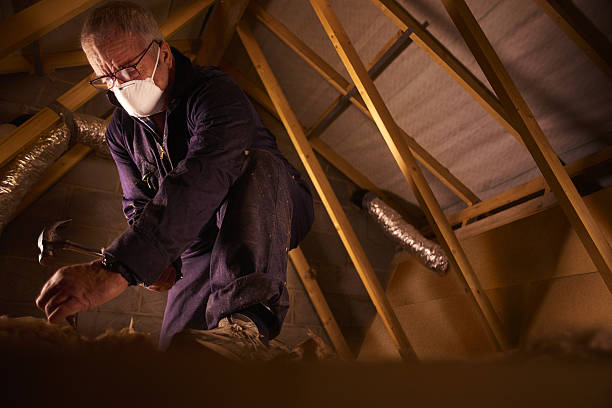 Best Geographic-Specific Insulation Services in Lavonia, GA